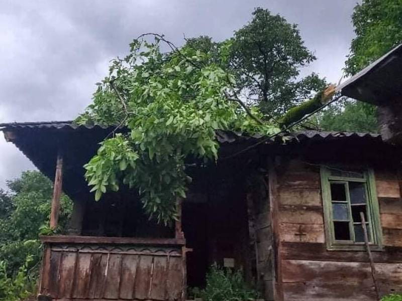 ძლიერი წვიმისა და  ქარის შედეგად  ცაგერის  მუნიციპალიტეტში  დაზიანდა საცხოვრებელი...